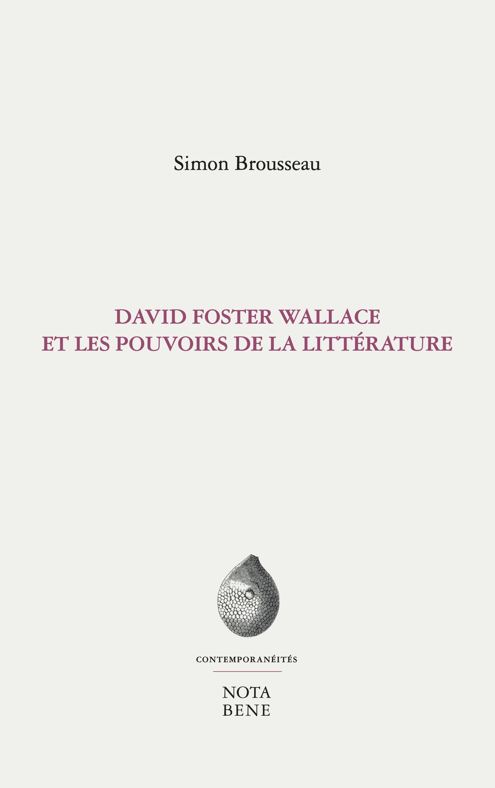 couverture de l'ouvrage David Foster Wallace et les pouvoirs de la littérature